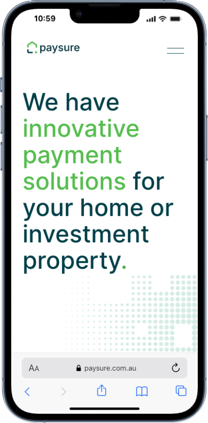 PaySure website payment options section