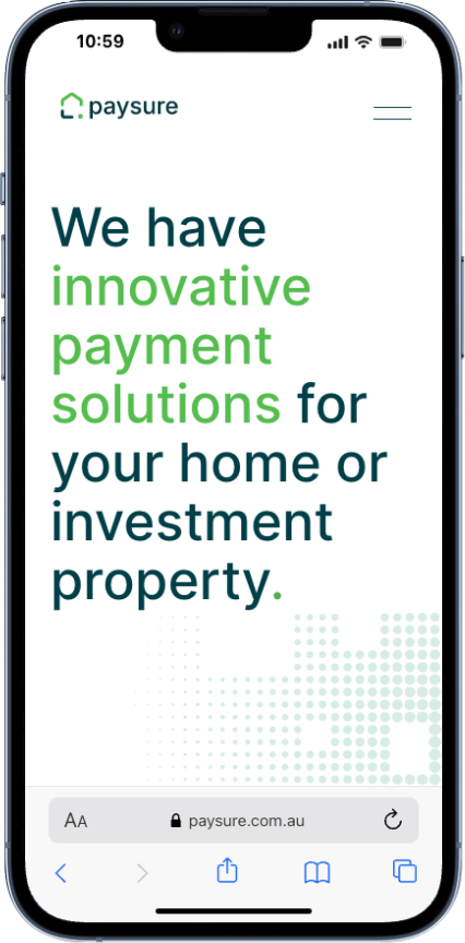 PaySure website payment options section